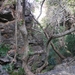 Richtikloof