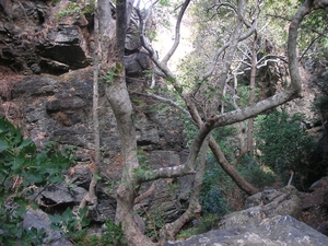 Richtikloof