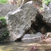 Richtikloof