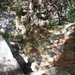 Richtikloof