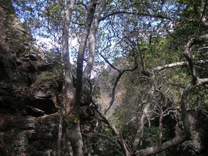 Richtikloof