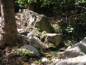 Richtikloof