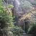 Richtikloof