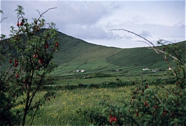 Ring of Kerry