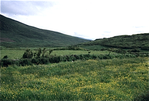 Ring of Kerry