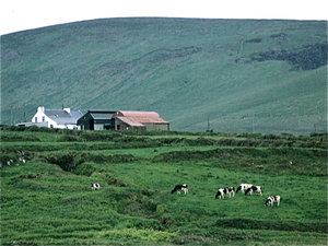 Ring of Kerry