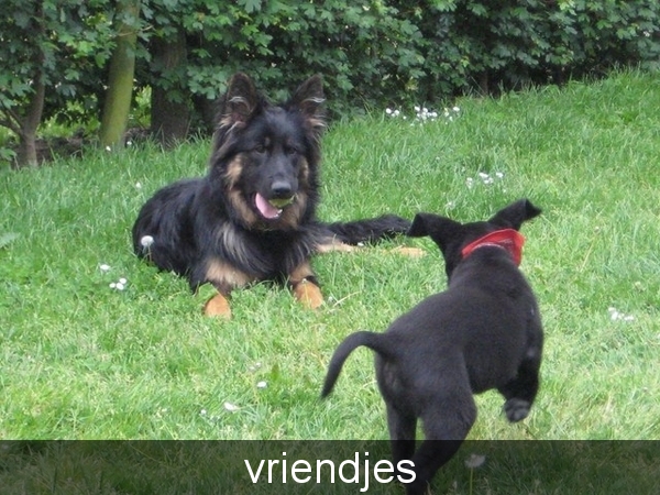 jethros vroegere maatje