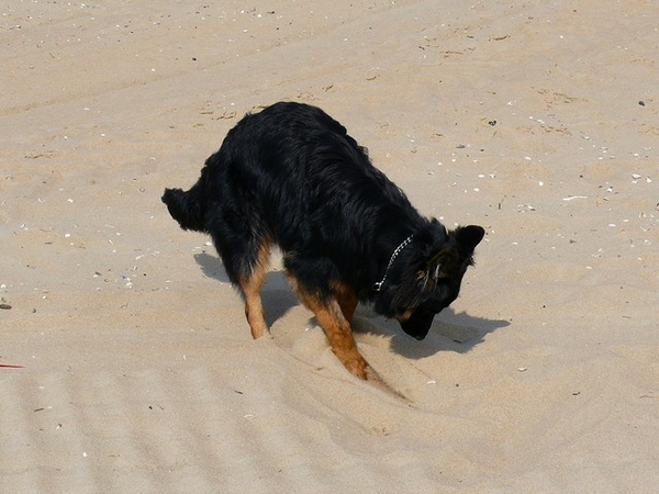 jethro 23-05-2008