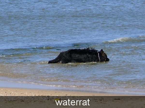 jethro 23-05-2008