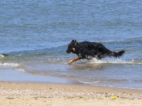 jethro 23-05-2008