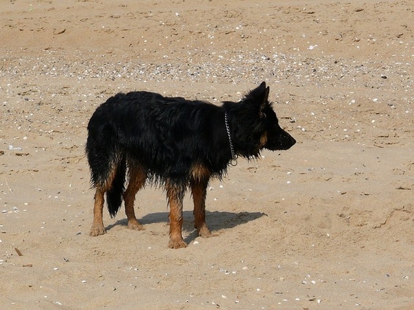 jethro 23-05-2008