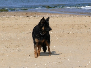 jethro 23-05-2008