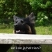 jethro 23-05-2008