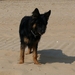 jethro23-05-2008