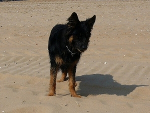 jethro23-05-2008