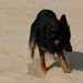 jethro 23-05-2008