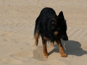 jethro 23-05-2008