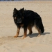 jethro 23-05-2008