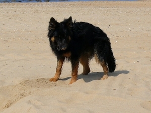 jethro 23-05-2008