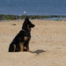 jethro 23-05-2008