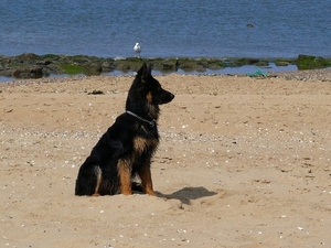 jethro 23-05-2008