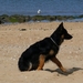 jethro 23-05-2008