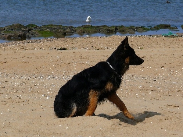 jethro 23-05-2008