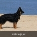 jethro 23-05-2008