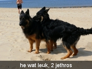 jethro23-05-2008