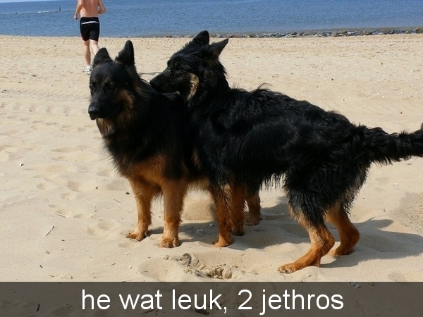 jethro23-05-2008