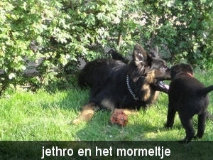 jethro + bo 14-05-2008