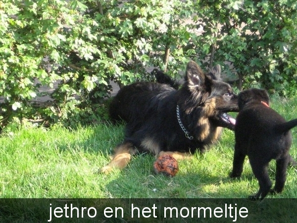 jethro + bo 14-05-2008