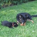 jethro + bo 14-05-2008