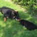 jethro + bo 14-05-2008