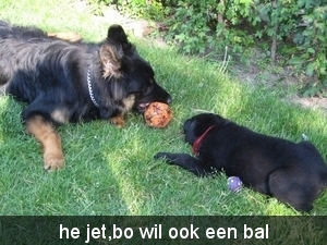 jethro + bo 14-05-2008