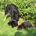 jethro + bo 14-05-2008