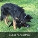 jethro + bo 14-05-2008