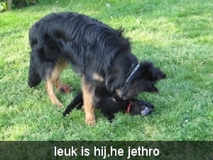 jethro + bo 14-05-2008