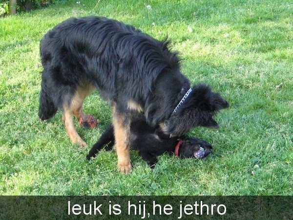 jethro + bo 14-05-2008