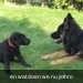 jethro +bo 14-05-2008