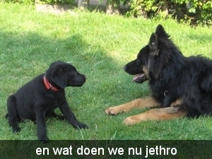 jethro +bo 14-05-2008