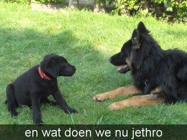 jethro +bo 14-05-2008