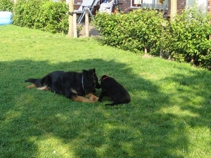 jethro +bo 14-05-2008