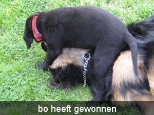 jethro +bo 16-05-2008