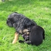 jethro +bo 16-05-2008