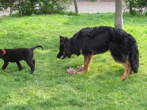 jethro +bo 16-05-2008