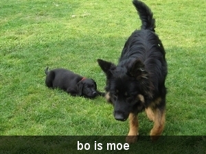 jethro +bo 16-05-2008