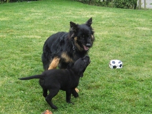 jethro +bo 26-05-2008