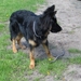 jethro 1-05-2008