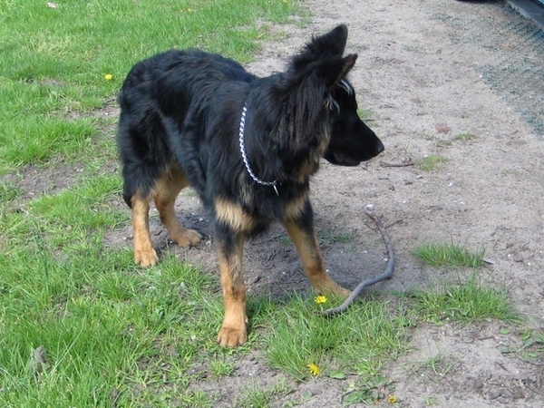 jethro 1-05-2008